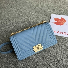 Chanel Leboy Series Bags